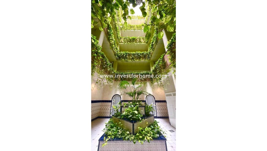 Reventa - Apartamento - Torrevieja - Centro