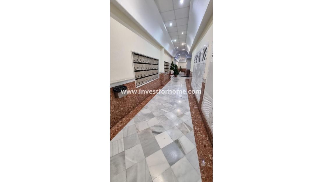 Reventa - Apartamento - Torrevieja - Centro