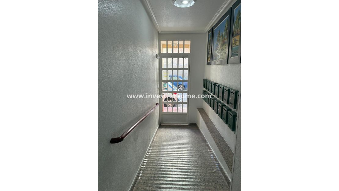 Reventa - Apartamento - Torrevieja - Centro