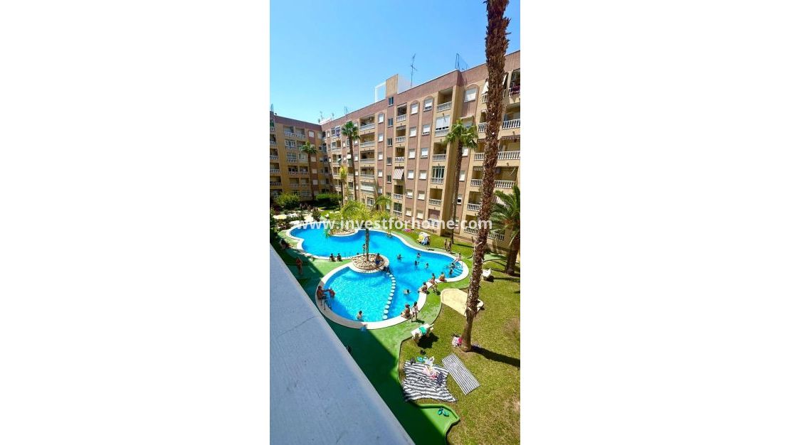 Reventa - Apartamento - Torrevieja - Centro