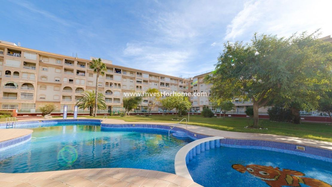 Reventa - Apartamento - Torrevieja - Centro
