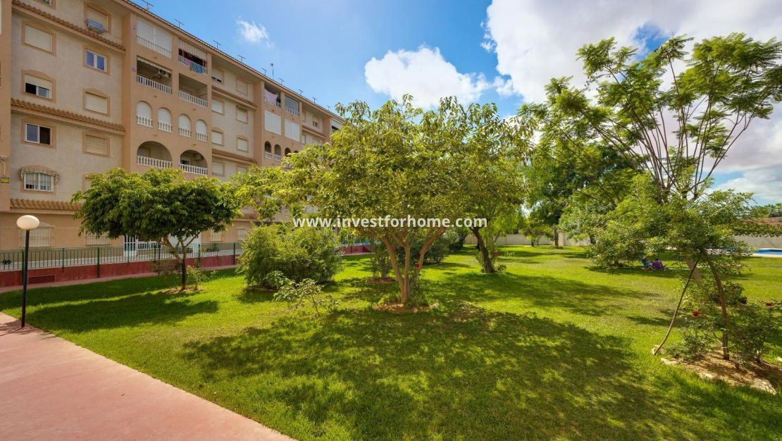 Reventa - Apartamento - Torrevieja - Centro
