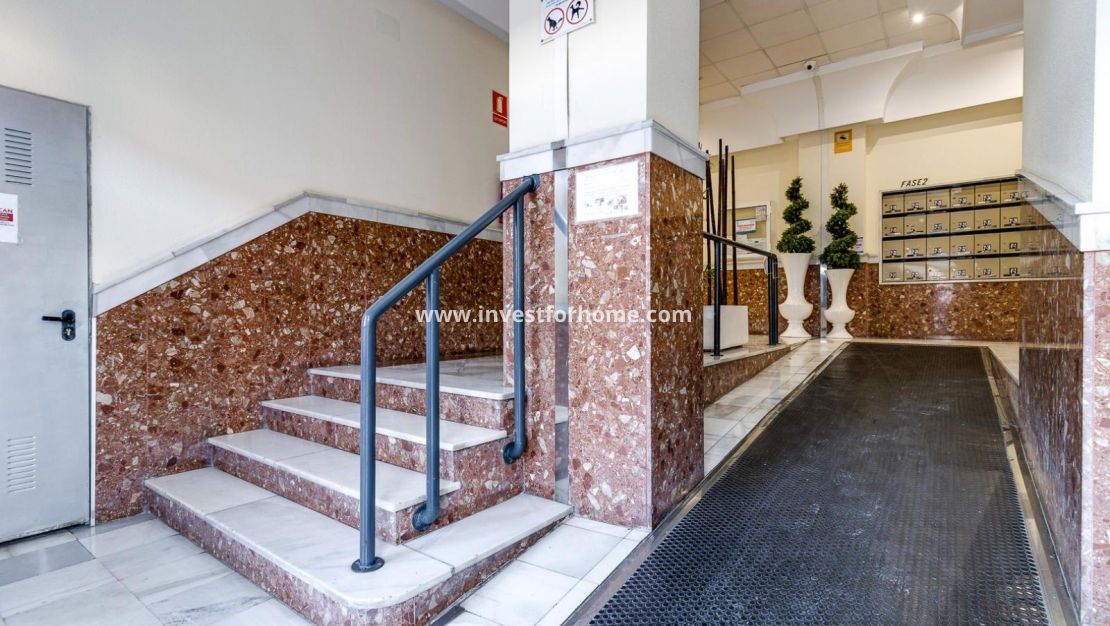 Reventa - Apartamento - Torrevieja - Centro