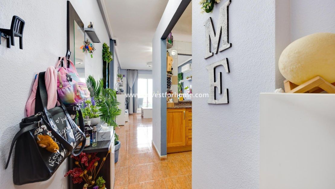 Reventa - Apartamento - Torrevieja - Centro