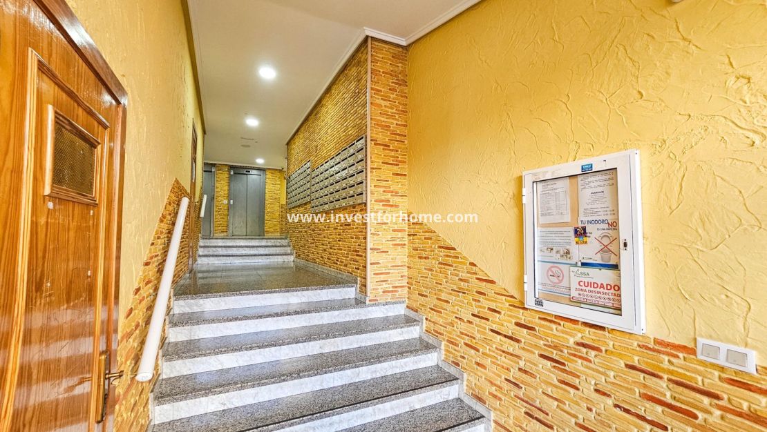 Reventa - Apartamento - Torrevieja - Centro