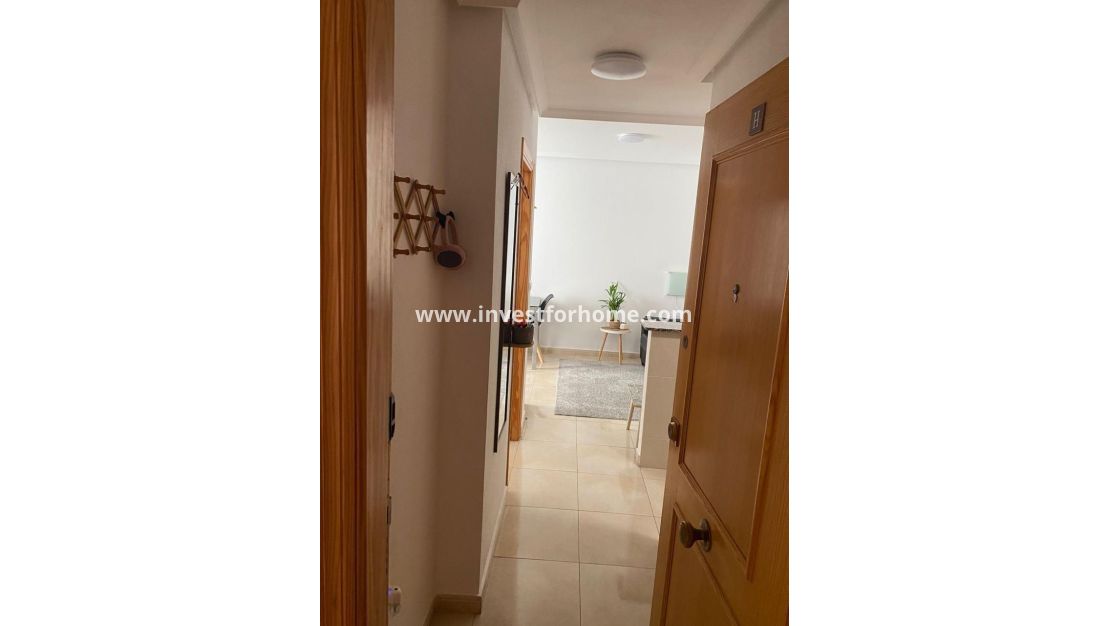 Reventa - Apartamento - Torrevieja - Centro
