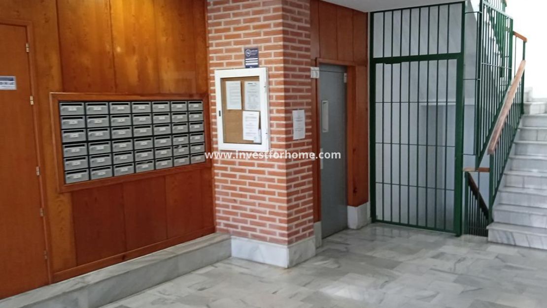 Reventa - Apartamento - Torrevieja - Centro