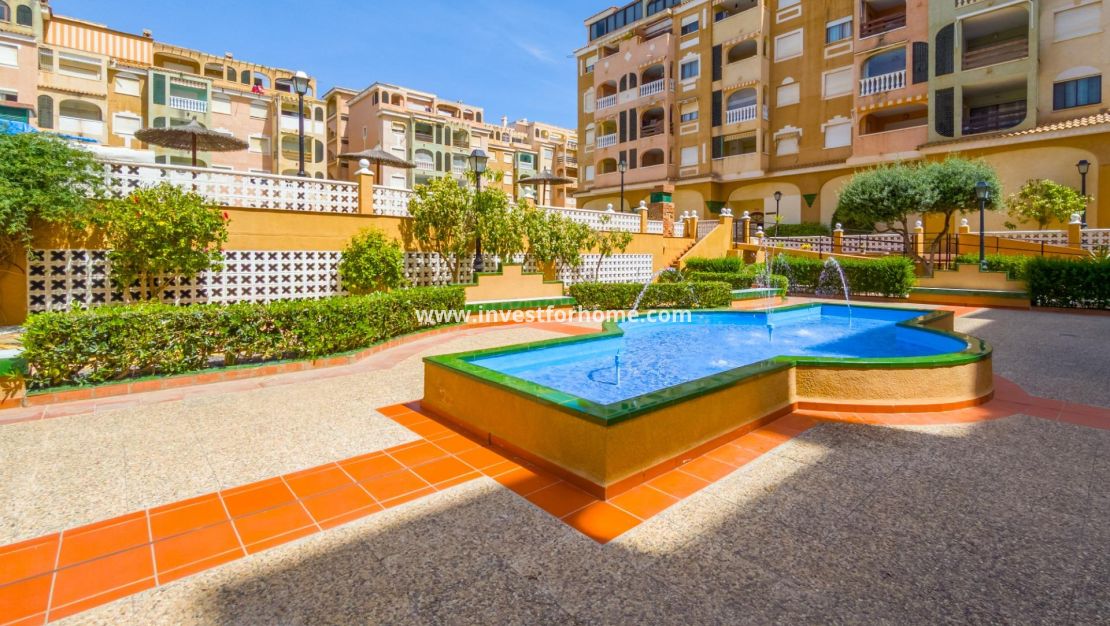 Reventa - Apartamento - Torrevieja - Centro