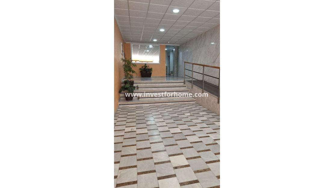 Reventa - Apartamento - Torrevieja - Centro