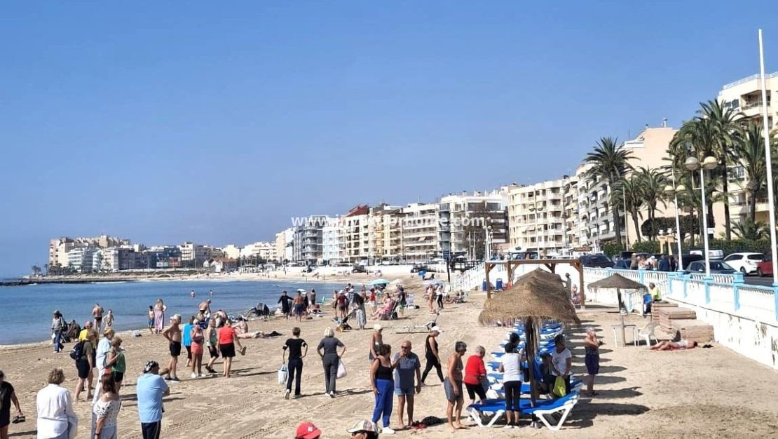 Reventa - Apartamento - Torrevieja - Centro