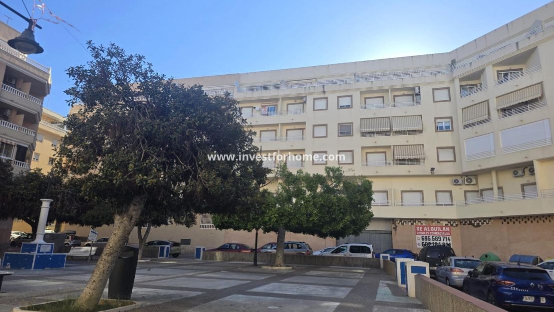 Reventa - Apartamento - Torrevieja - Centro