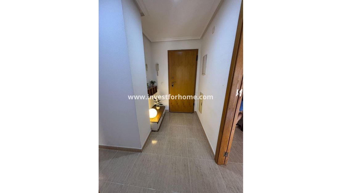 Reventa - Apartamento - Torrevieja - Centro