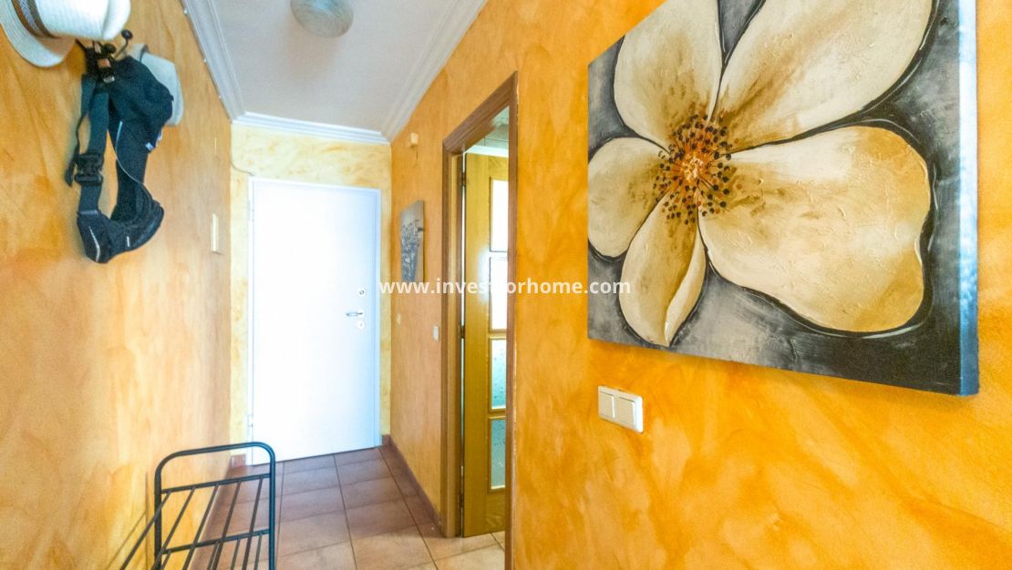 Reventa - Apartamento - Torrevieja - Centro
