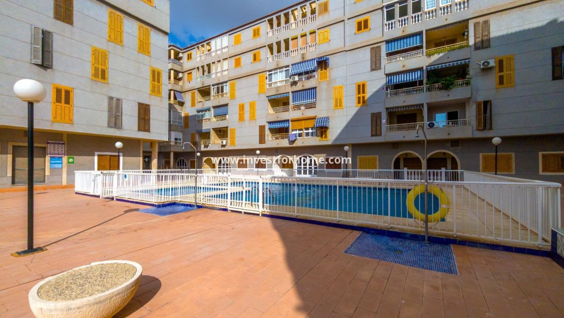 Reventa - Apartamento - Torrevieja - Centro