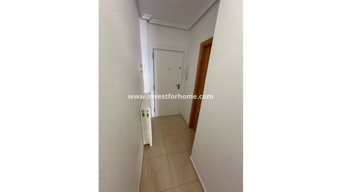 Reventa - Apartamento - Torrevieja - Centro