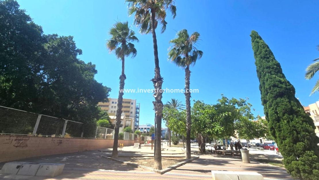 Reventa - Apartamento - Torrevieja - Centro
