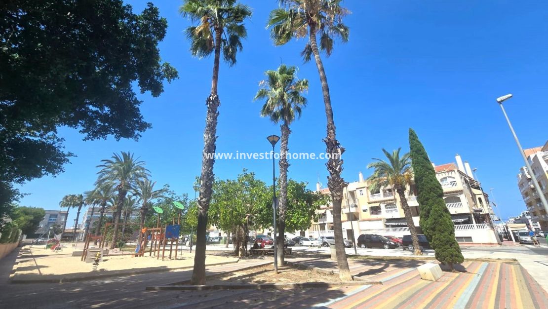 Reventa - Apartamento - Torrevieja - Centro