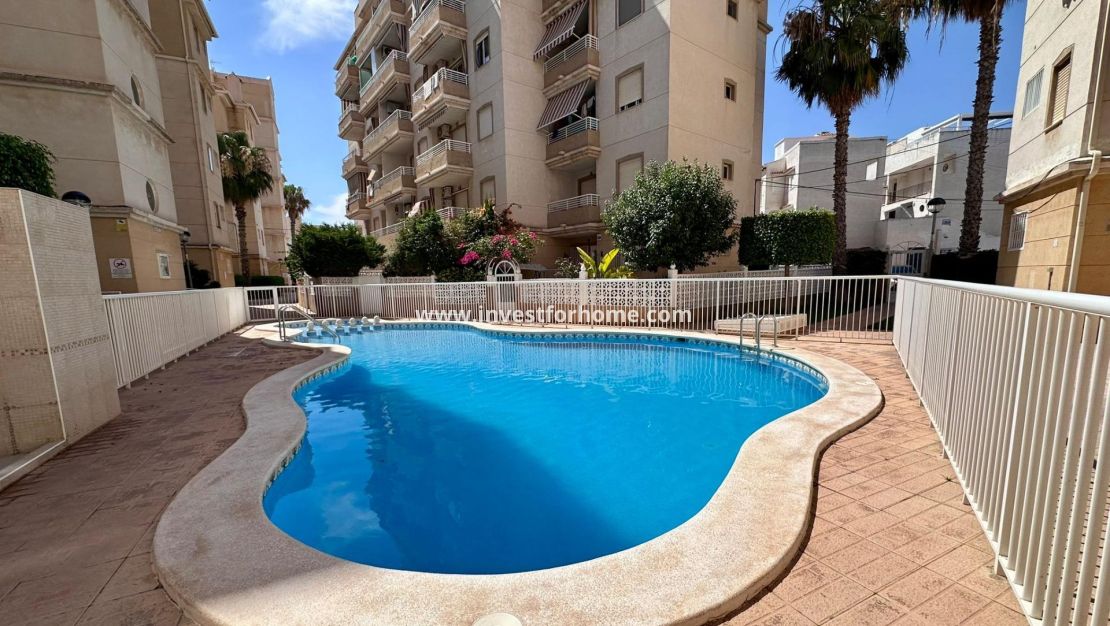 Reventa - Apartamento - Torrevieja - Centro