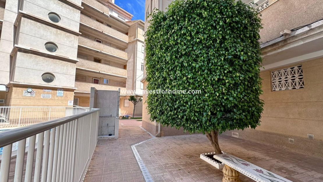 Reventa - Apartamento - Torrevieja - Centro