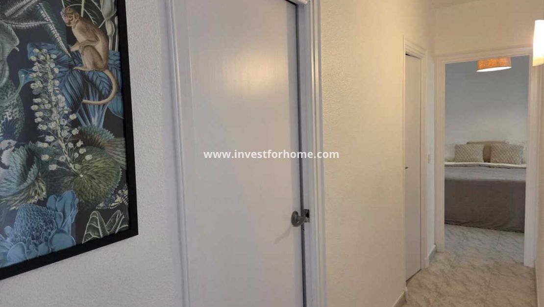 Reventa - Apartamento - Torrevieja - Centro