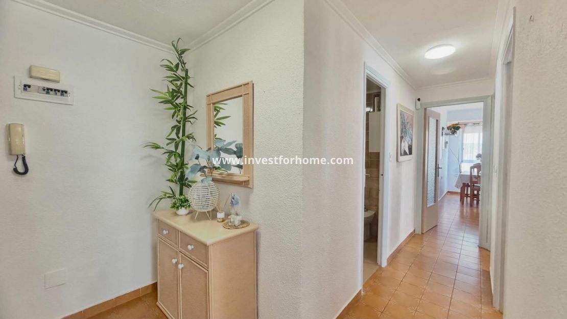 Reventa - Apartamento - Torrevieja - Centro