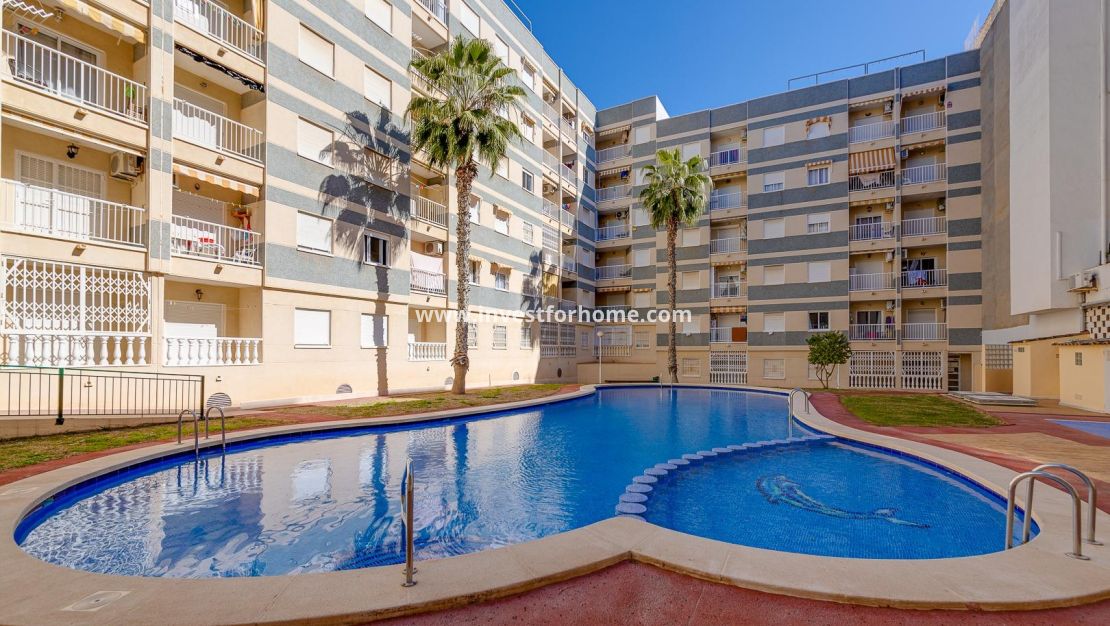 Reventa - Apartamento - Torrevieja - Centro