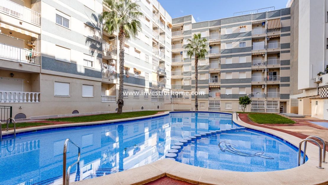 Reventa - Apartamento - Torrevieja - Centro