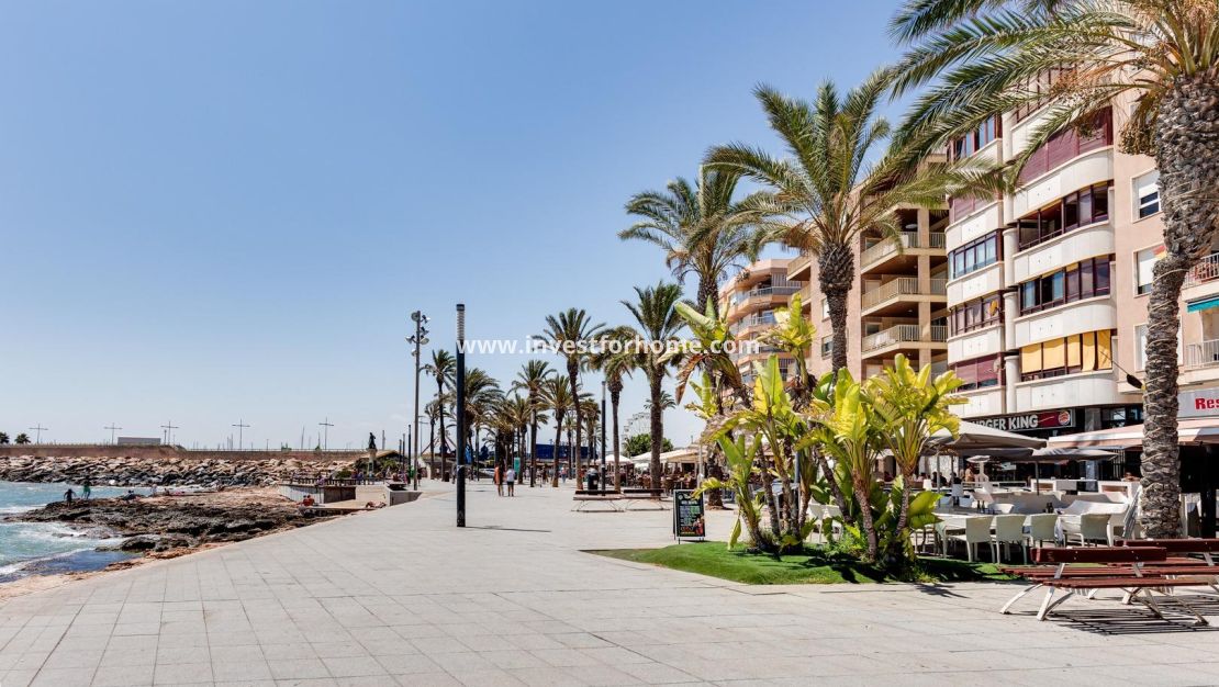 Reventa - Apartamento - Torrevieja - Centro