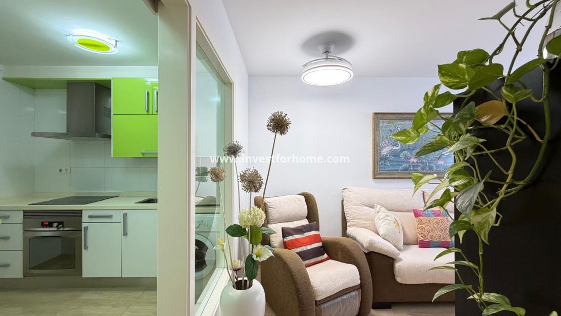 Reventa - Apartamento - Torrevieja - Centro