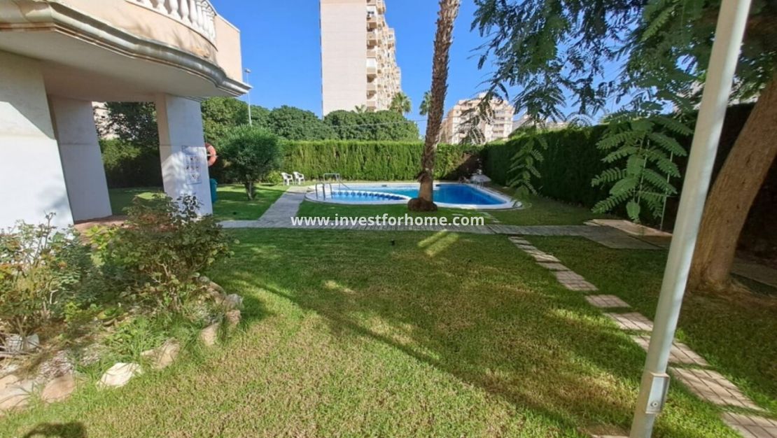 Reventa - Apartamento - Torrevieja - Costa Blanca