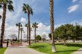 Reventa - Apartamento - Torrevieja - Costa Blanca