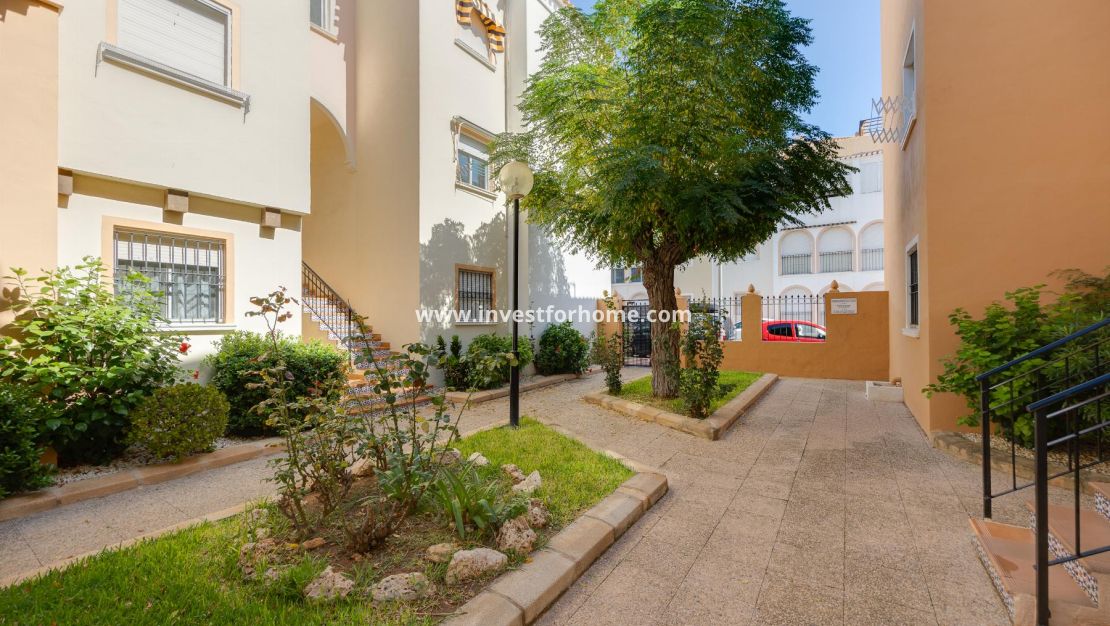 Reventa - Apartamento - Torrevieja - Costa Blanca