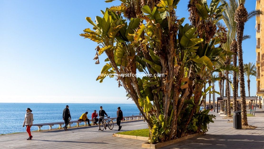 Reventa - Apartamento - Torrevieja - Costa Blanca