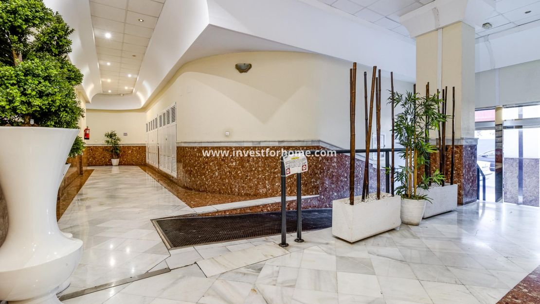 Reventa - Apartamento - Torrevieja - Costa Blanca