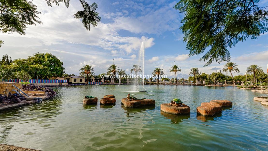 Reventa - Apartamento - Torrevieja - Costa Blanca