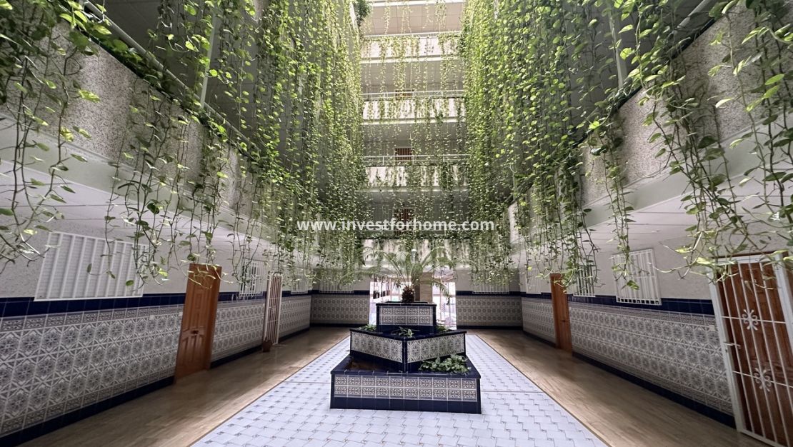 Reventa - Apartamento - Torrevieja - Costa Blanca