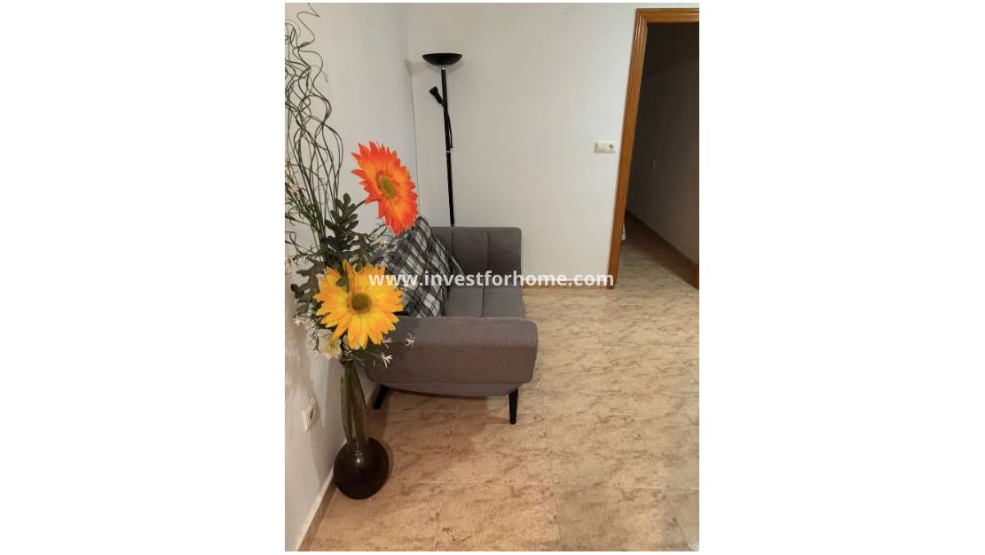 Reventa - Apartamento - Torrevieja - Costa Blanca