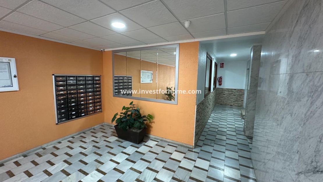 Reventa - Apartamento - Torrevieja - Costa Blanca