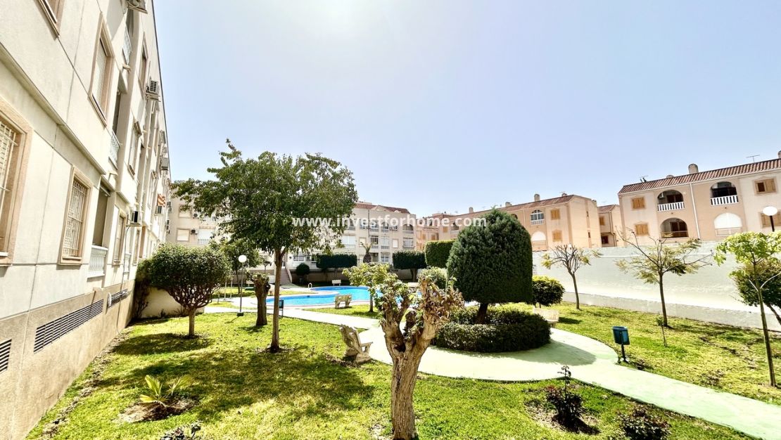 Reventa - Apartamento - Torrevieja - Costa Blanca
