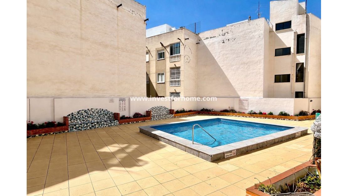 Reventa - Apartamento - Torrevieja - Costa Blanca