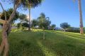 Reventa - Apartamento - Torrevieja - Costa Blanca
