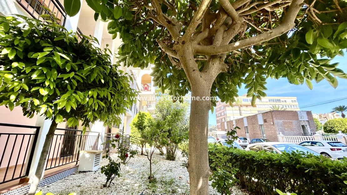Reventa - Apartamento - Torrevieja - Costa Blanca