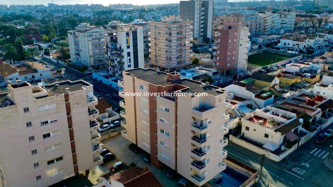 Reventa - Apartamento - Torrevieja - Costa Blanca