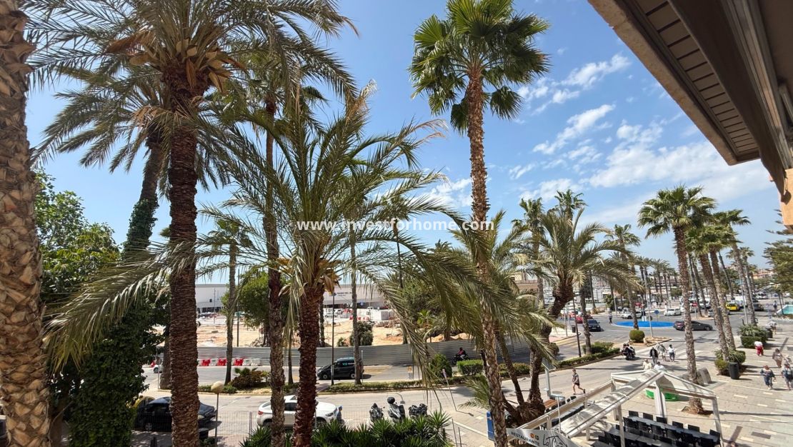 Reventa - Apartamento - Torrevieja - Costa Blanca