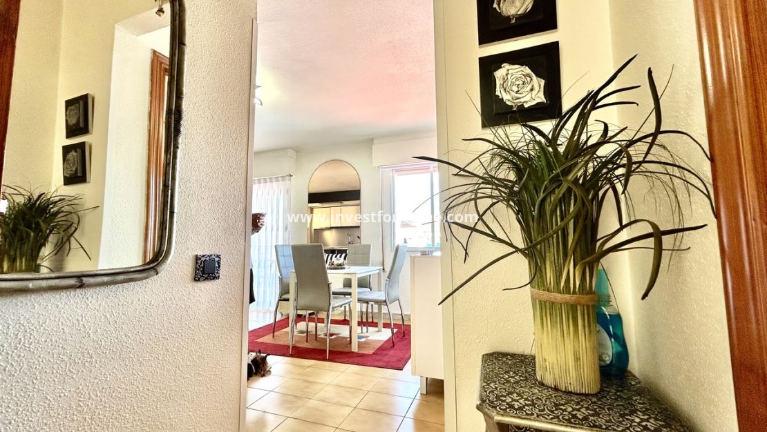 Reventa - Apartamento - Torrevieja - Costa Blanca