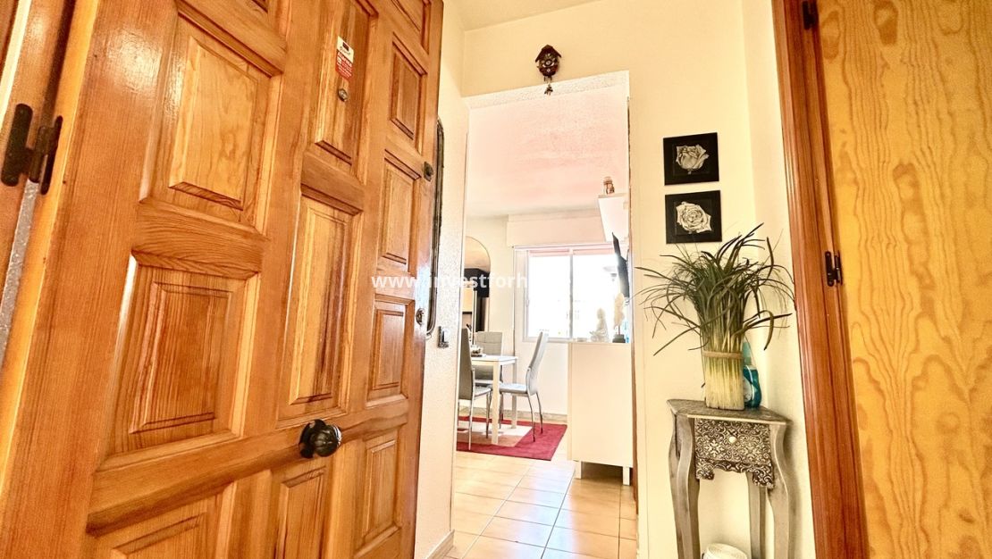 Reventa - Apartamento - Torrevieja - Costa Blanca