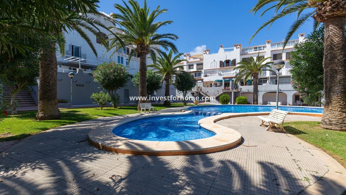 Reventa - Apartamento - Torrevieja - Costa Blanca