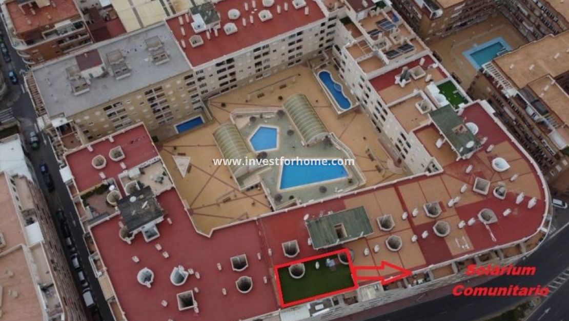 Reventa - Apartamento - Torrevieja - Costa Blanca