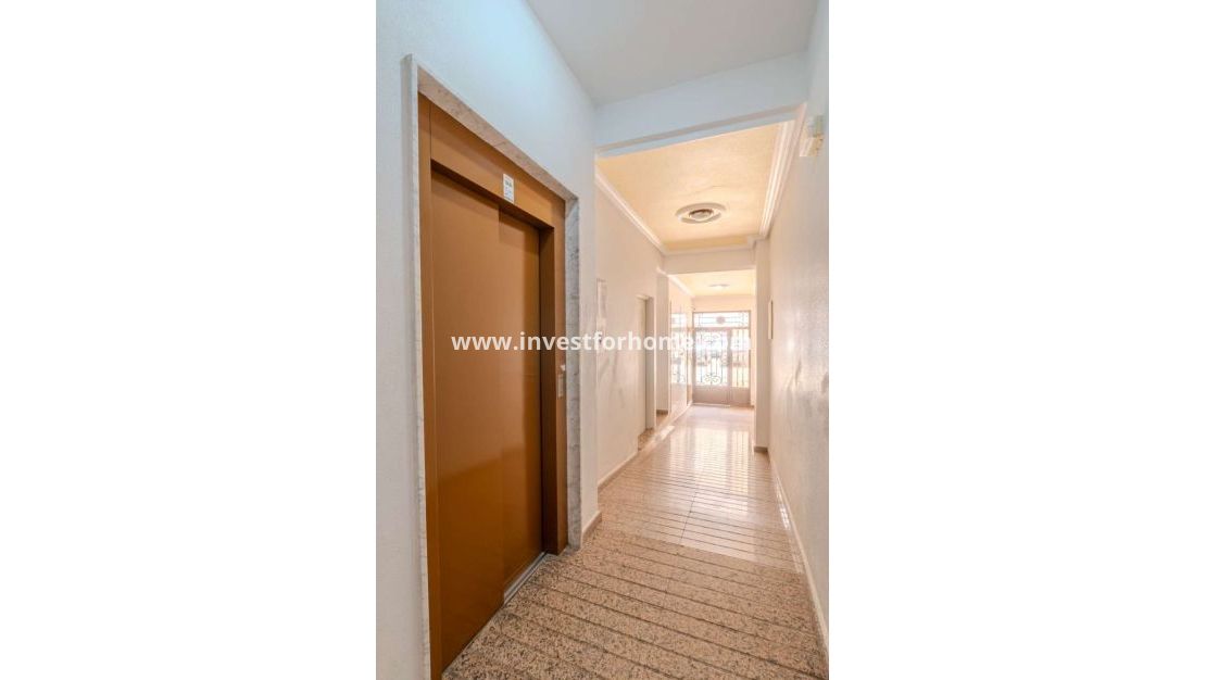 Reventa - Apartamento - Torrevieja - Costa Blanca