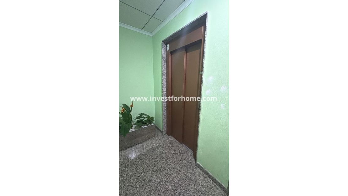 Reventa - Apartamento - Torrevieja - Costa Blanca